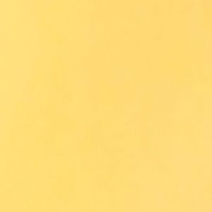 Meet your Posher, Antonio